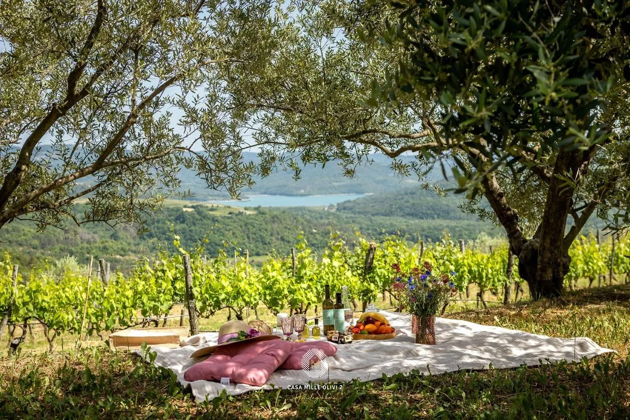 Casa Mille Olivi 2 Croatia