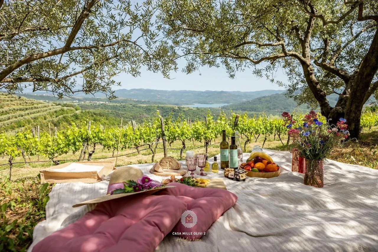 Vila Casa Mille Olivi 2