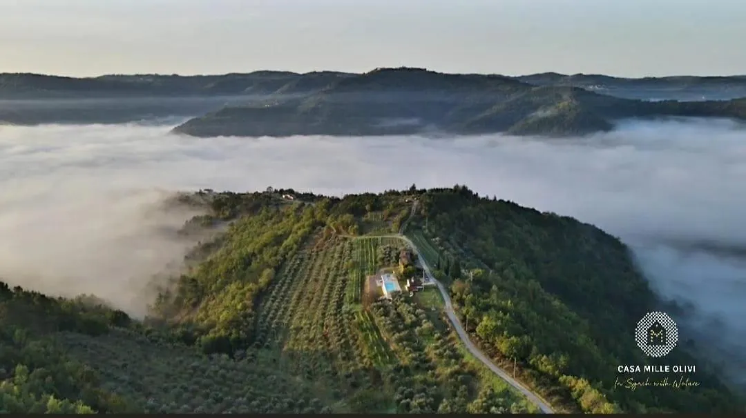 Casa Mille Olivi 2 Villa Buzet